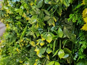 The Yellow Amazon